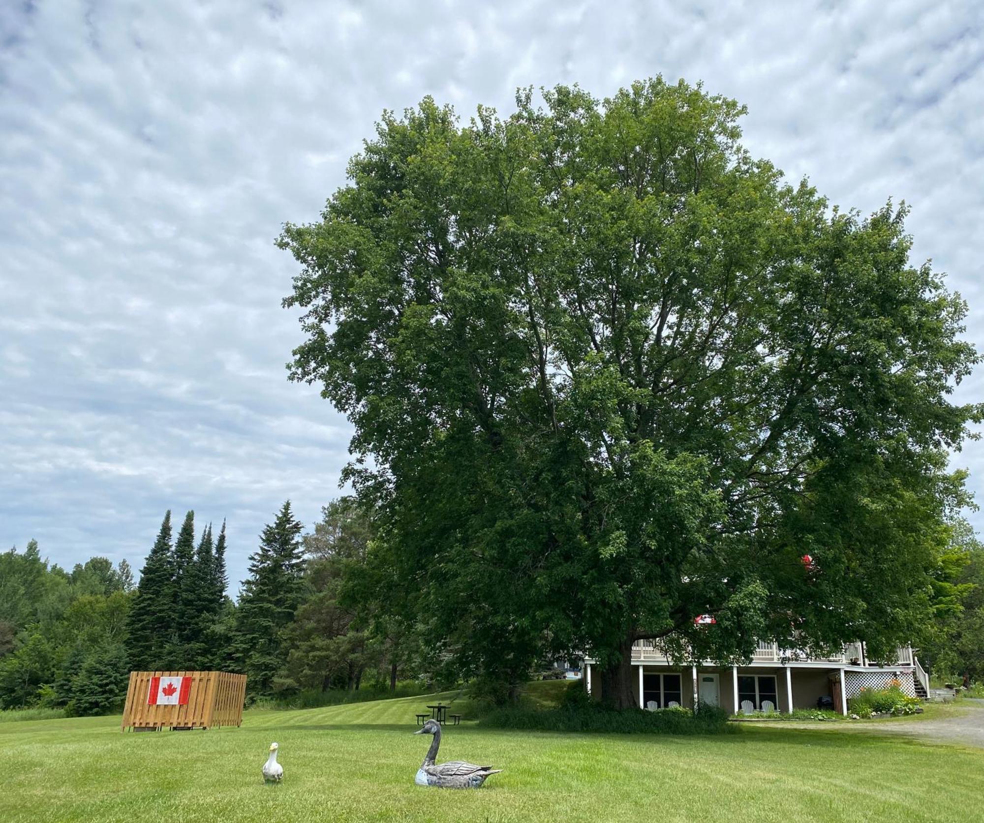 Our Place Up North Bnb Huntsville Buitenkant foto
